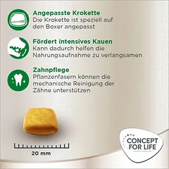 Concept for Life Boxer Adult sausas maistas šunims — 5 nuotrauka