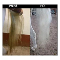 K9 Horse Sterling Silver Shampoo - šampūnas baltoms ir sidabrinėms arklių kailiams, koncentratas 1:10, 300ml — 2 nuotrauka