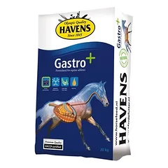 Havens Gastro+