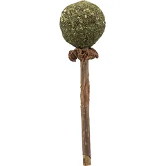 TRIXIE Matatabi žaislas katei lazdelė su katžolės kamuoliuku, 11 cm — 2 nuotrauka