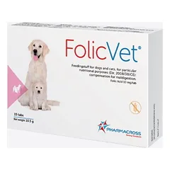 FolicVet folinė rūgštis šunims ir katėms N15