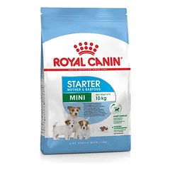 Royal Canin SHN Mini Starter sausas ėdalas mažoms kalėms ir šuniukams, 1 kg