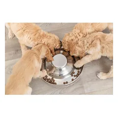 TRIXIE Junior Puppy dubenėlis, 4 l/38 cm — 2 nuotrauka