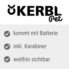 Kerbl Pet Maxi Safe Leuchtanhänger Herz