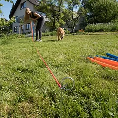 zooplus Exclusive Agility Fun & Sport slalomo rinkinys šunims, 12 strypų, Ø 2,5 cm, ilgis 100 cm — 5 nuotrauka