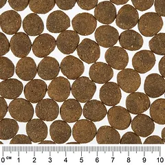 Greenwoods su jautiena, lęšiais, bulvėmis ir morkomis, sausas maistas šunims, Ekonominė pakuotė: 2 x 12 kg — 2 nuotrauka