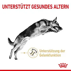 Royal Canin German Shepherd Adult 5+ sausas maistas šunims — 3 nuotrauka