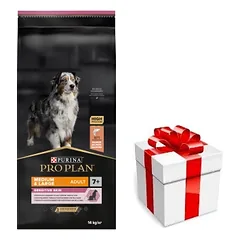 PRO PLAN Sensitive Skin vidutinių ir didelių veislių suaugusių šunų ėdalas su lašiša 14kg + STAIGMENA ŠUNIUI