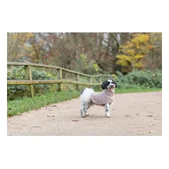 TRIXIE Norwood megztinis, XS: 24 cm, kreminė — 3 nuotrauka