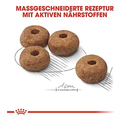 Royal Canin Medium Sterilised sausas maistas šunims, > 10 kg — 3 nuotrauka