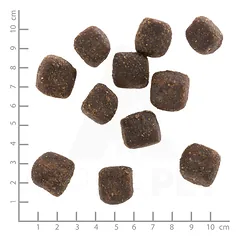 WOLFSBLUT Wild Duck Squashies skanėstai šunims su antiena ir batatais, 300 g — 3 nuotrauka