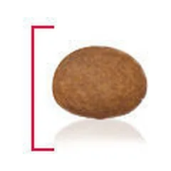 Royal Canin SHN Medium Adult 7+ sausas maistas šunims 15 kg — 3 nuotrauka