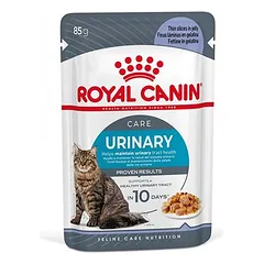 Royal Canin FCN Urinary Care in Gelee