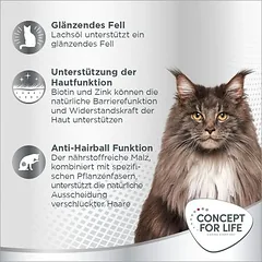 Concept for Life Beauty pasta katėms — 4 nuotrauka