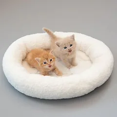 zooplus Exclusive guolis katėms Fluffy 2in1, vilnonė balta: L 50 x B 42 x H 7,5 cm — 4 nuotrauka