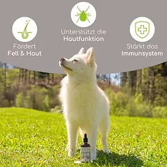 Wolfsbacher Natur ekologiškas juodųjų kmynų aliejus, papildas, 100 ml — 2 nuotrauka