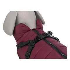 Trixie Pirou žieminė striukė šunims su petnešomis (bordo) — 5 nuotrauka