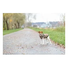Trixie Pirou žieminis paltas šunims su petnešomis, dydis S 33 cm, smėlio spalvos — 5 nuotrauka
