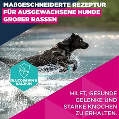 Eukanuba Premium Nutrition Adult Large & Giant Breed su vištiena, sausas maistas šunims, 15 kg — 4 nuotrauka