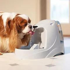 PetSafe® Drinkwell® Platinum girdymo fontanas, Pilnas rinkinys: fontanas + 3 atsarginiai filtrai — 3 nuotrauka