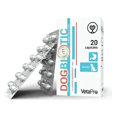 DogBiotic Papildai šunims virškinimo sistemai išsaugoti N20 photo