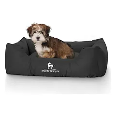 Knuffelwuff guolis šunims Finlay iš nailoninio audinio, Vidutiniams 11–25 kg — 4 nuotrauka