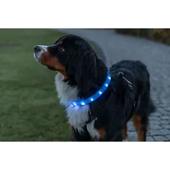 TRIXIE LED antkaklis USB, platus, silikonas, M-L: 50 cm/30 mm, mėlynas (pak.2) — 5 nuotrauka