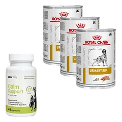 ROYAL CANIN Urinary S/O 3x410g skardinė + LAB-V Calm Support - streso ir elgesio sutrikimų simptomų palaikymas 45 kapsulės