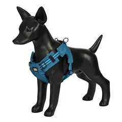 Rukka petnešos šunims Puff Mini, Vidutiniams 11–25 kg — 2 nuotrauka