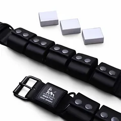 Bestia Dog Sport Trainingshalsband mit Gewichten (2,3 kg abnehmbar)