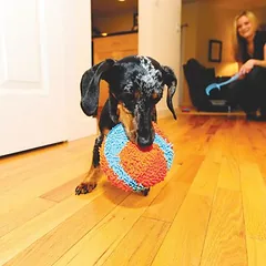 Chuckit! kamuoliukas patalpoms, žaislas šunims, Didelis: apie Ø 12 cm — 2 nuotrauka