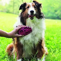 KONG ZoomGroom Raspberry šepetėlis šunų kailio priežiūrai ir masažui — 2 nuotrauka