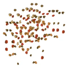 TetraMin Granules pašaras žuvims, 15 g — 2 nuotrauka