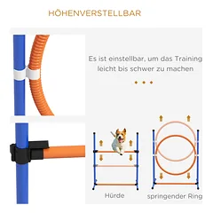 Agility rinkinys šunims 352 × 66 × 69 cm — 4 nuotrauka