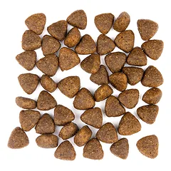 WOLFSBLUT Adult Limited INGREDIENTS Wide Plain sausas maistas šunims su arkliena, 1 kg — 5 nuotrauka
