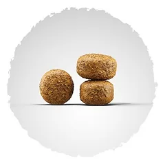 Josera Balance sausas pašaras šunims 12.5kg, 12,5 kg — 3 nuotrauka