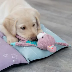 Trixie Junior žaislas šuniukams kiškis, Labai mažiems < 4 kg — 2 nuotrauka