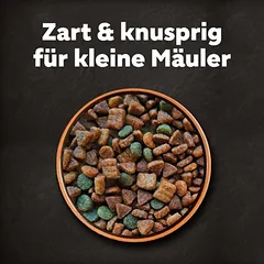 Cesar Adult mit Rind, Geflügel und Gemüse