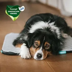Manuly rinkinys | šunų izoliacinis kilimėlis su Cooling Aqua (pilku) užvalkalu, Mažiems 5–10 kg — 3 nuotrauka