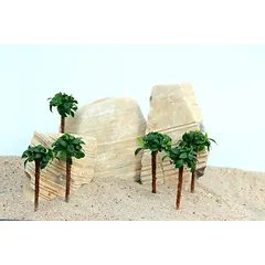Anubias barteri Bonsai Palm — 2 nuotrauka
