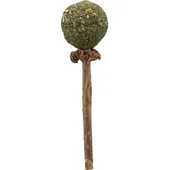 Trixie Matatabi žaislas katei lazdelė su katžolės kamuoliuku, 11 cm