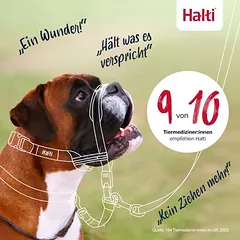 Halti Optifit galvos kamanos, Dideliems 26–45 kg — 4 nuotrauka