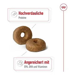 Royal Canin Maxi Ageing 8+ sausas maistas šunims — 4 nuotrauka