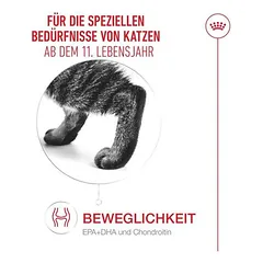 Royal Canin Ageing 11+ in Gelee