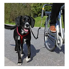 Trixie Biker-Set for S-M dogs parduotuvėje fera.lt