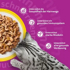 Whiskas Senior drėgnas maistas katėms, maišeliai 120 x 85 g, 80 - 99 g — 3 nuotrauka