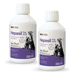 Lab-v Hepasil Dog & Cat preparatas šunų ir kačių kepenų veiklai gerinti 2x250 ml