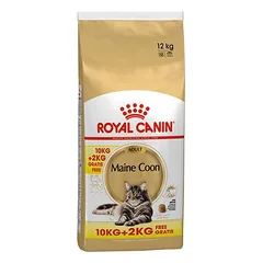 Royal Canin Maine Coon Adult sausas maistas katėms, > 10 kg — 3 nuotrauka