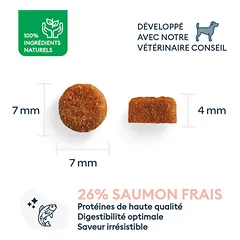 Marly & Dan sausas maistas mažų veislių jauniems šuniukams su lašiša - Puppy & Junior Small Breed, 4 kg — 2 nuotrauka