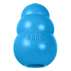 KONG žaislas šuniukams, L, blau — 3 nuotrauka